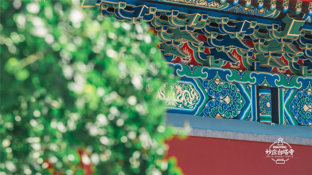 a7R4搭配适马小黑五代，白塔寺随拍