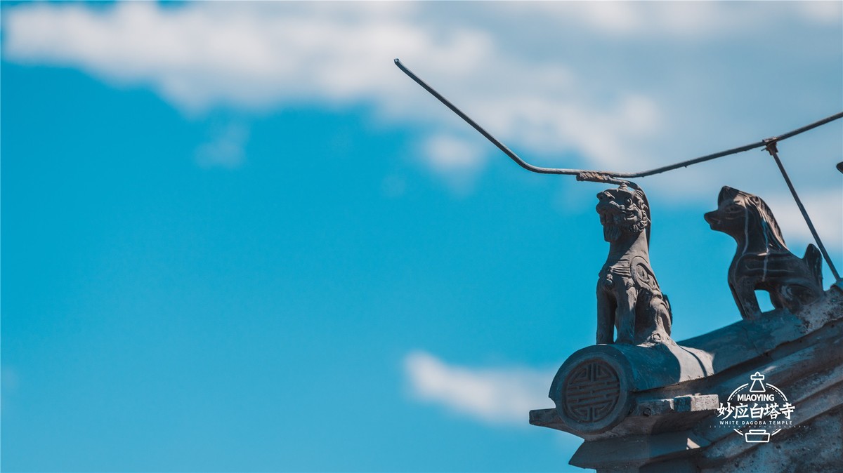 a7R4搭配适马小黑五代，白塔寺随拍