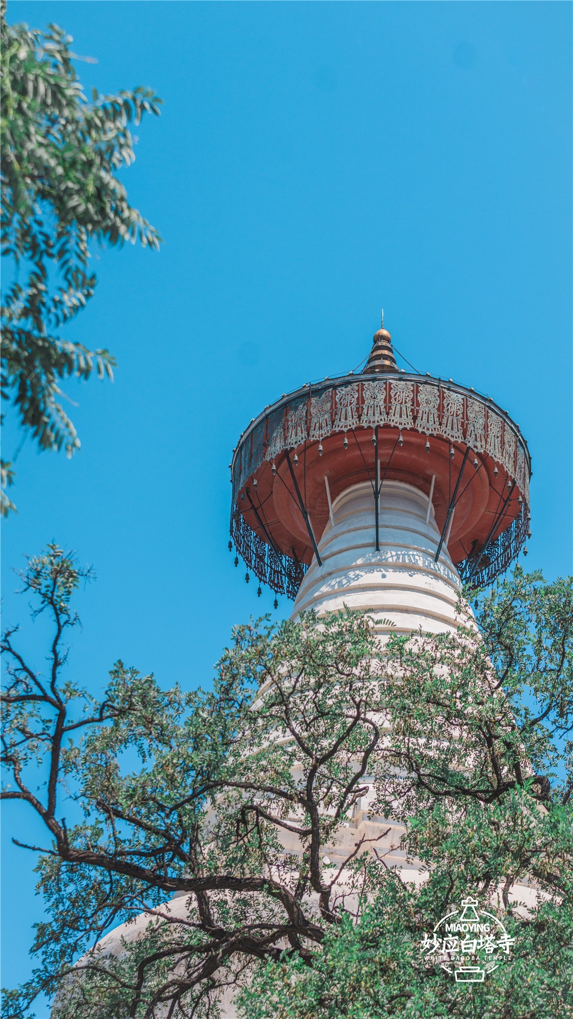 a7R4搭配适马小黑五代，白塔寺随拍