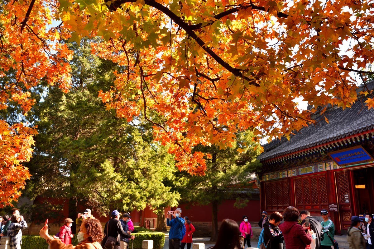 北京香山公园看红叶 2/4