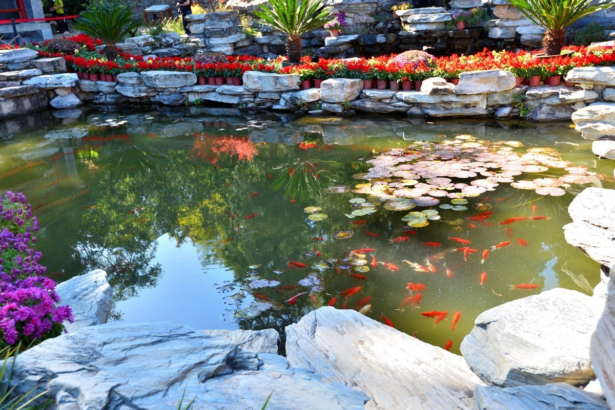 北京香山公园看红叶 2/4