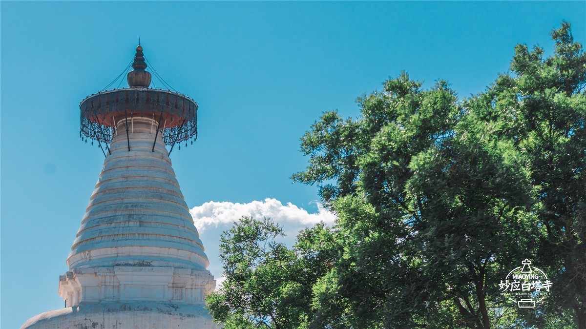 a7R4搭配适马小黑五代，白塔寺随拍
