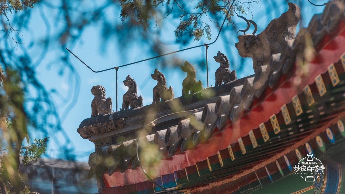 a7R4搭配适马小黑五代，白塔寺随拍