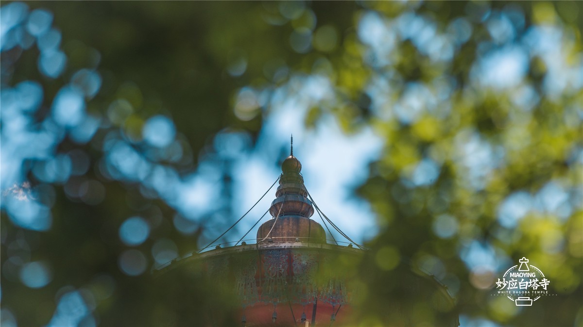 a7R4搭配适马小黑五代，白塔寺随拍