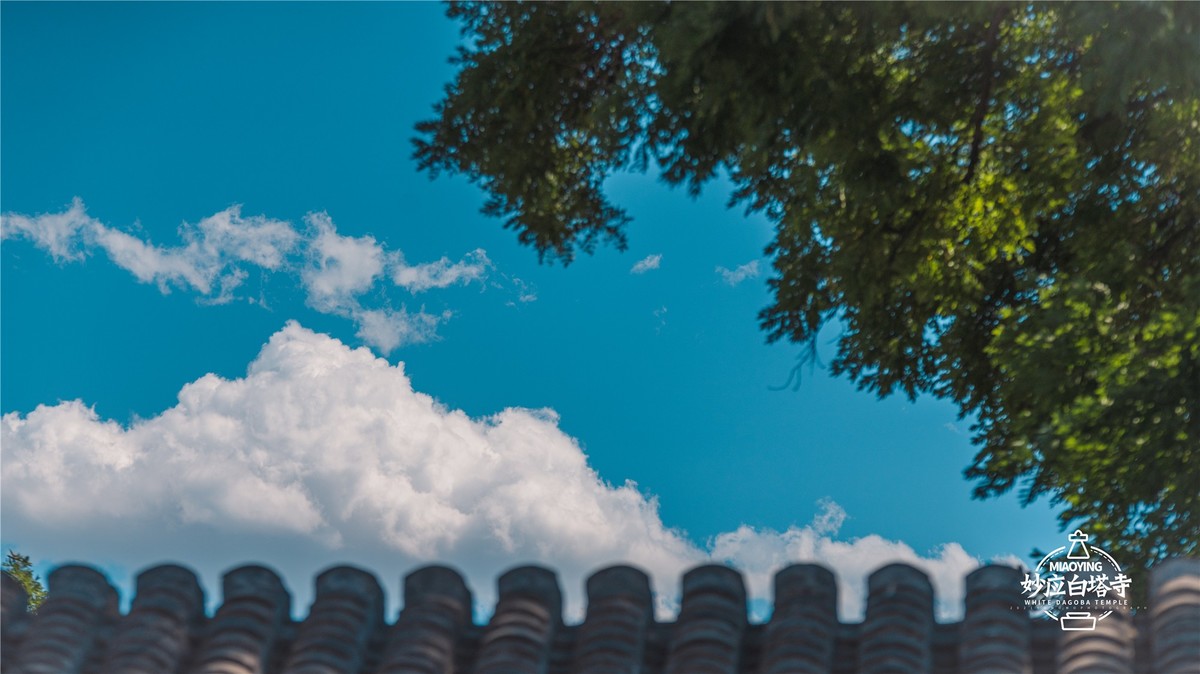 a7R4搭配适马小黑五代，白塔寺随拍