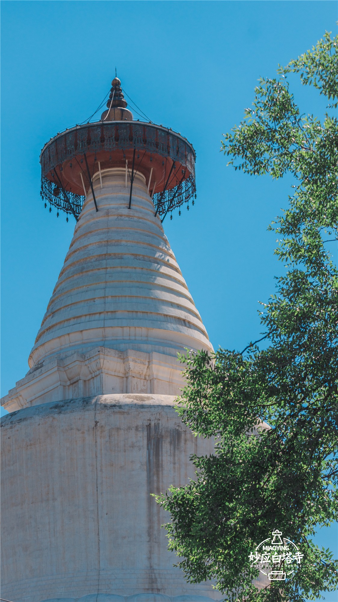 a7R4搭配适马小黑五代，白塔寺随拍