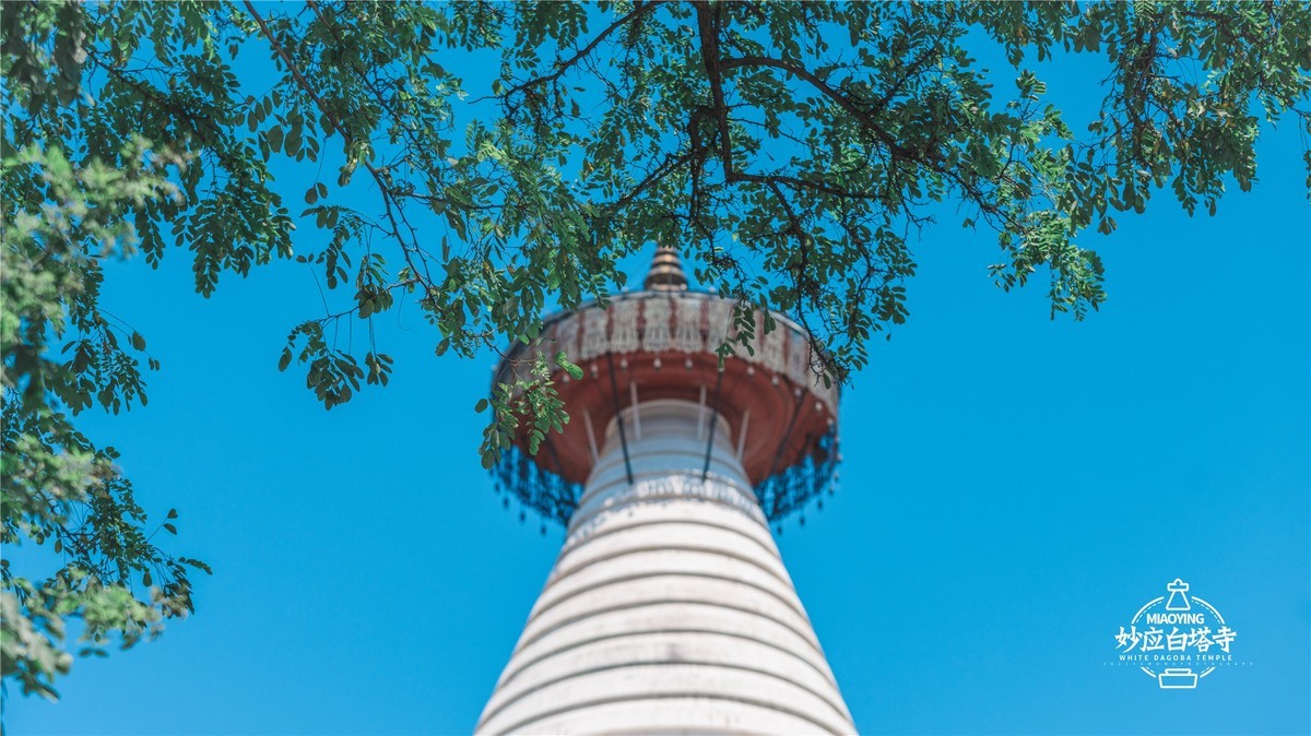 a7R4搭配适马小黑五代，白塔寺随拍