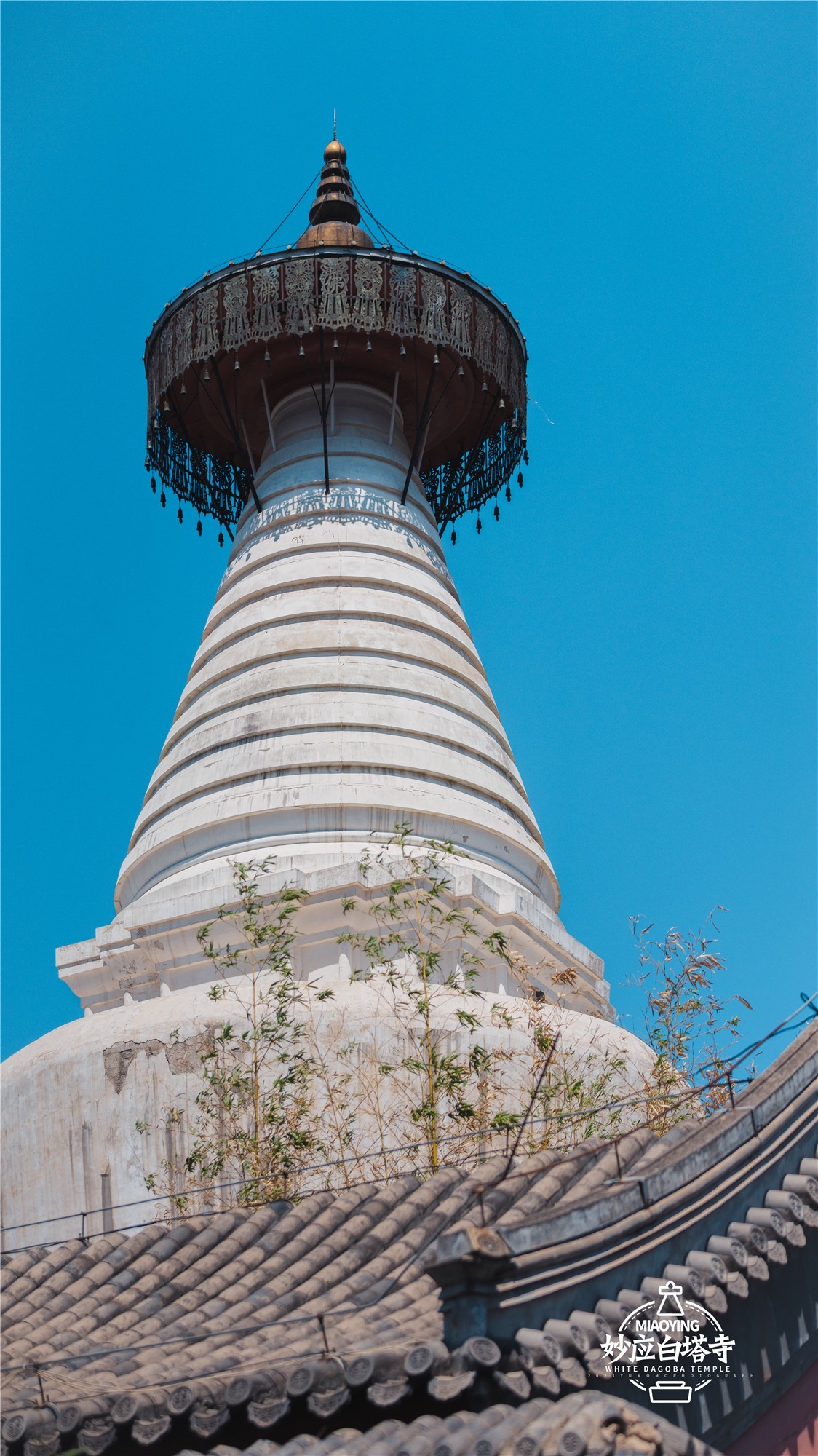 a7R4搭配适马小黑五代，白塔寺随拍