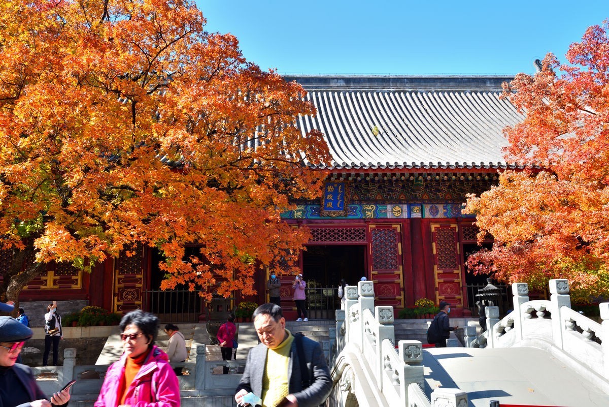 北京香山公园看红叶 2/4