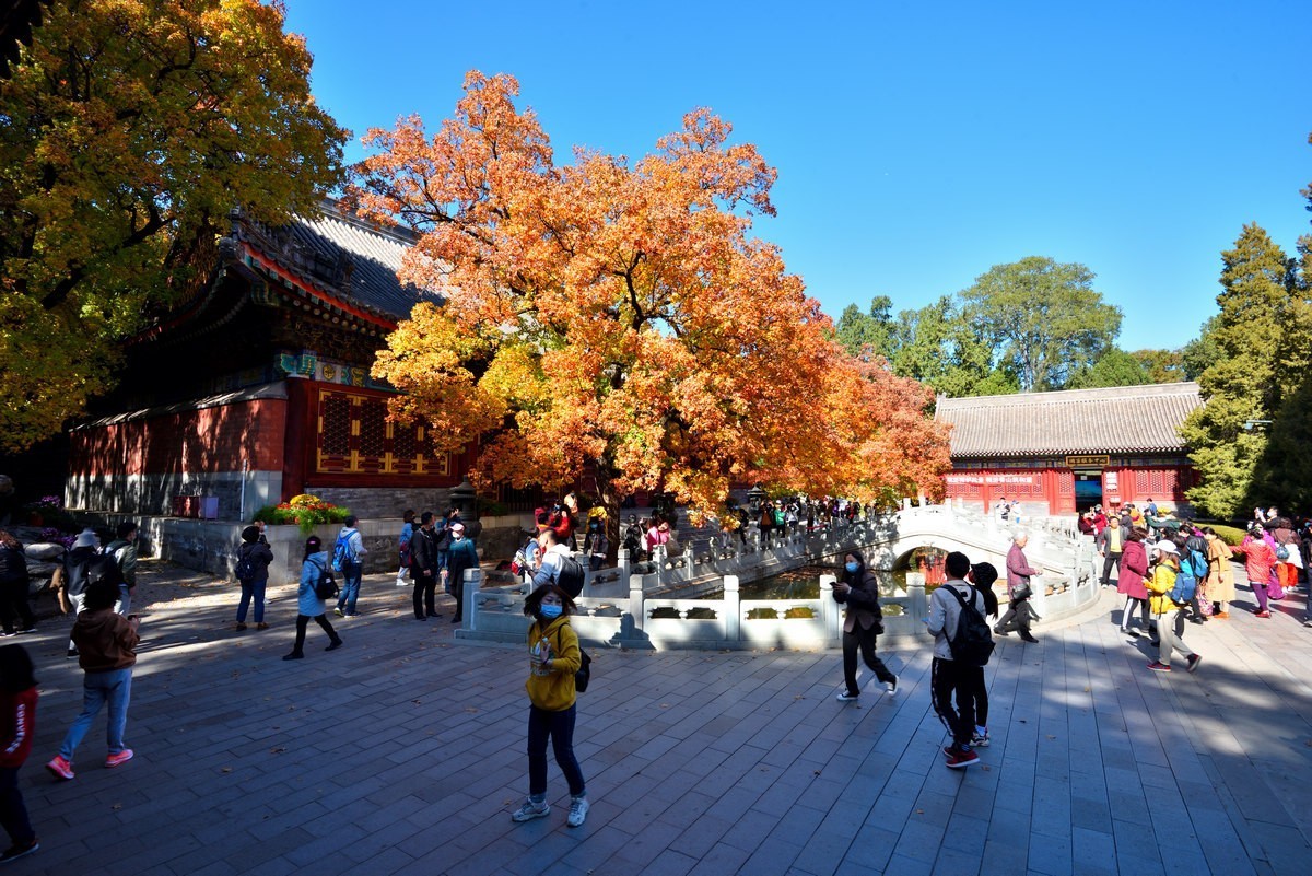 北京香山公园看红叶 2/4