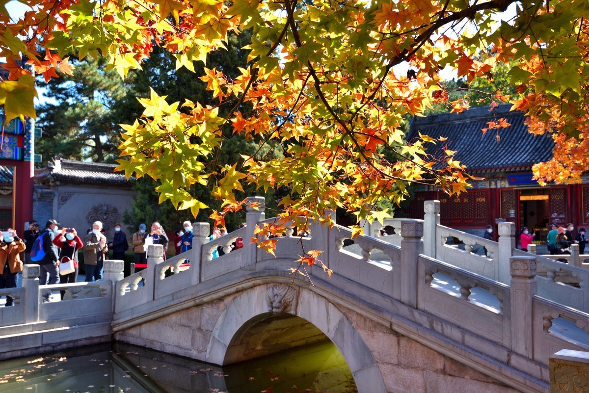 北京香山公园看红叶 2/4