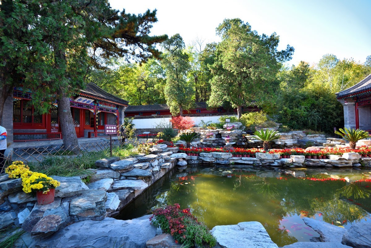 北京香山公园看红叶 2/4