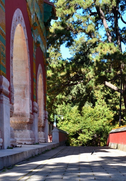 北京香山公园看红叶 2/4