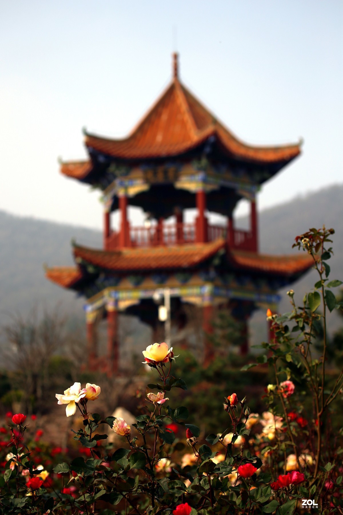 长恨春归无觅处           冬季高山花园赏花