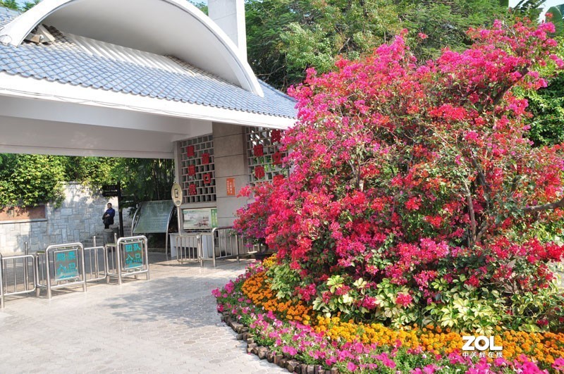 美丽的厦门植物园公园风光摄影－－２