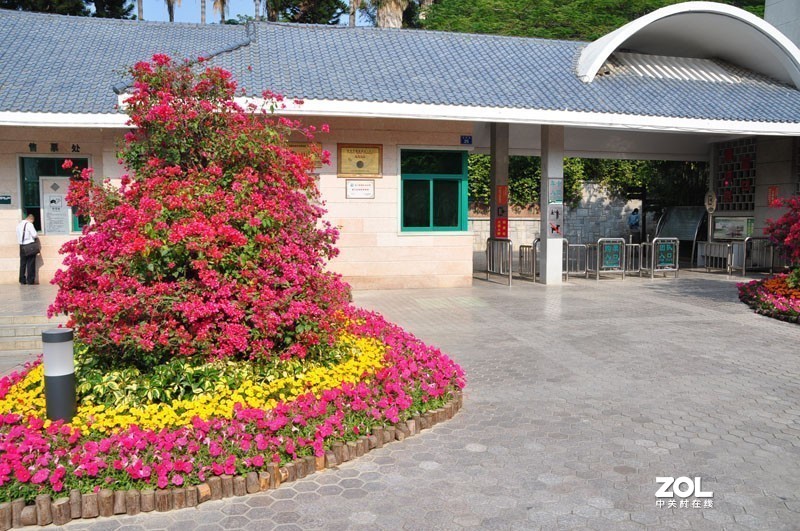 美丽的厦门植物园公园风光摄影－－２