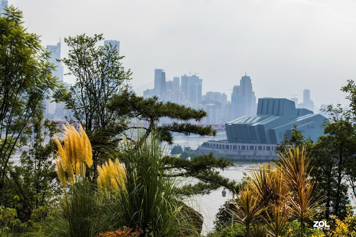 特大洪峰过重庆。