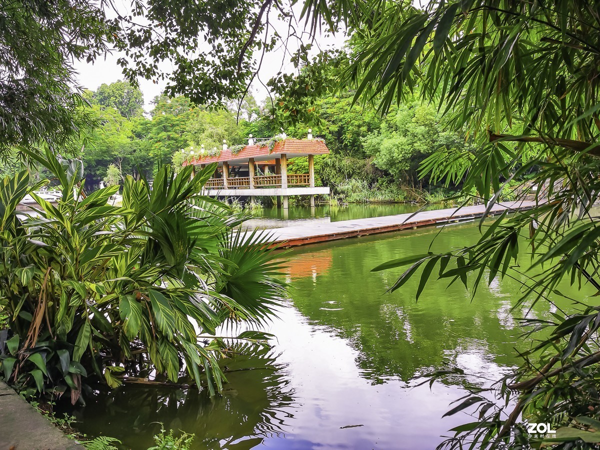 深圳東湖公園掠影