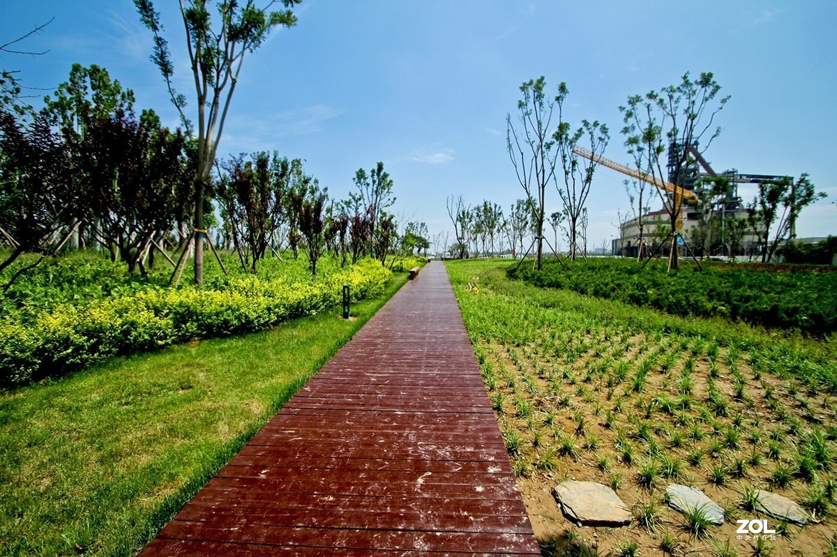 济钢沧海桑田森林公园随拍