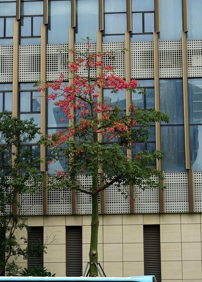 2021-10-21  福州万豪酒店