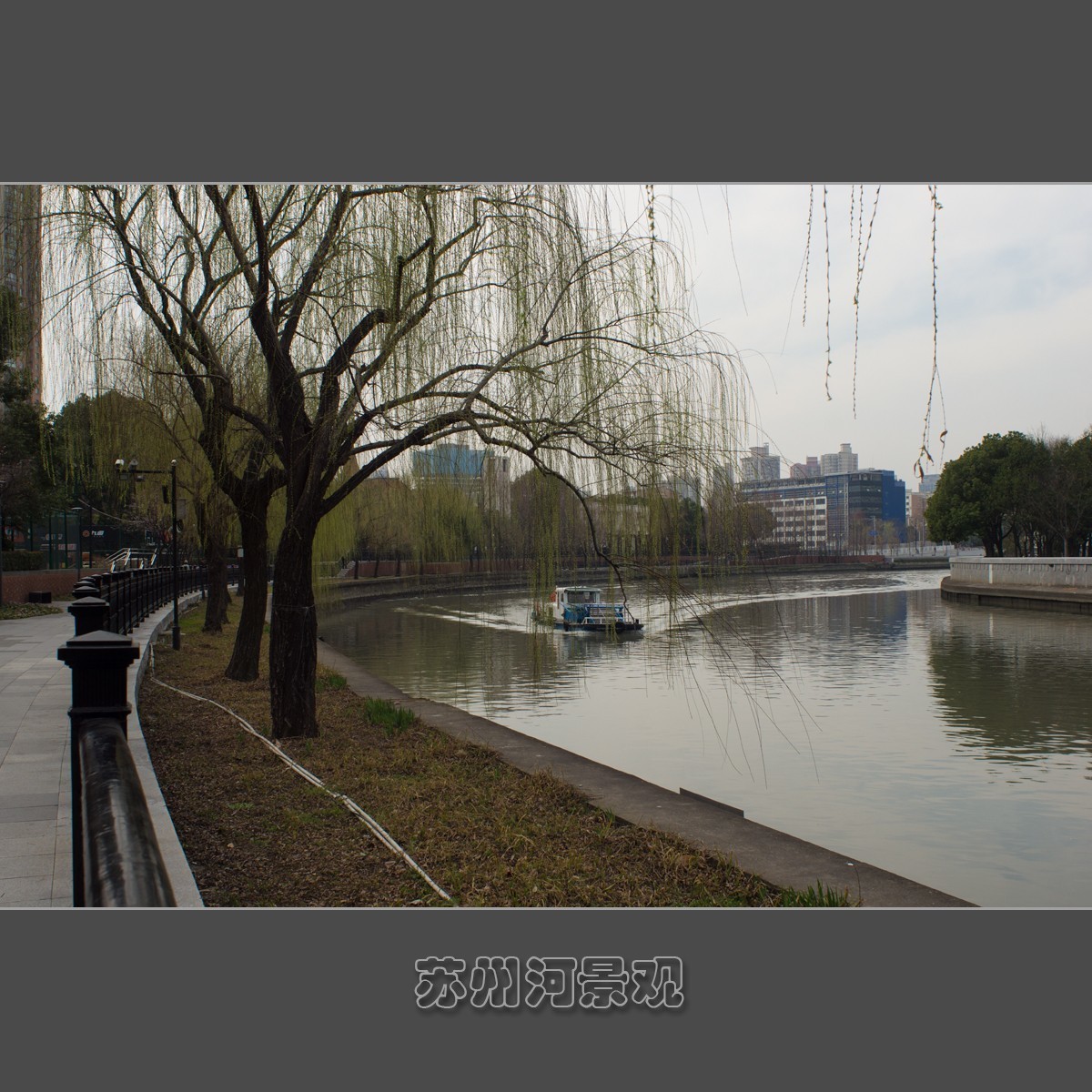 上海苏州河景观