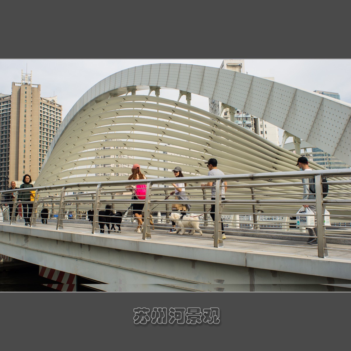 上海苏州河景观