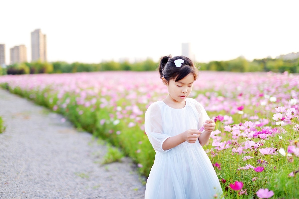 适马老50逆光条件下没新的好！