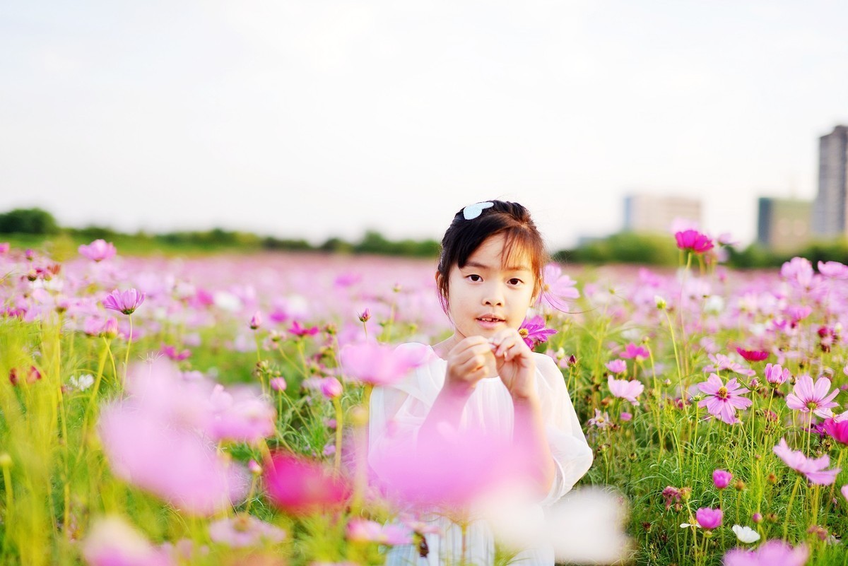 适马老50逆光条件下没新的好！