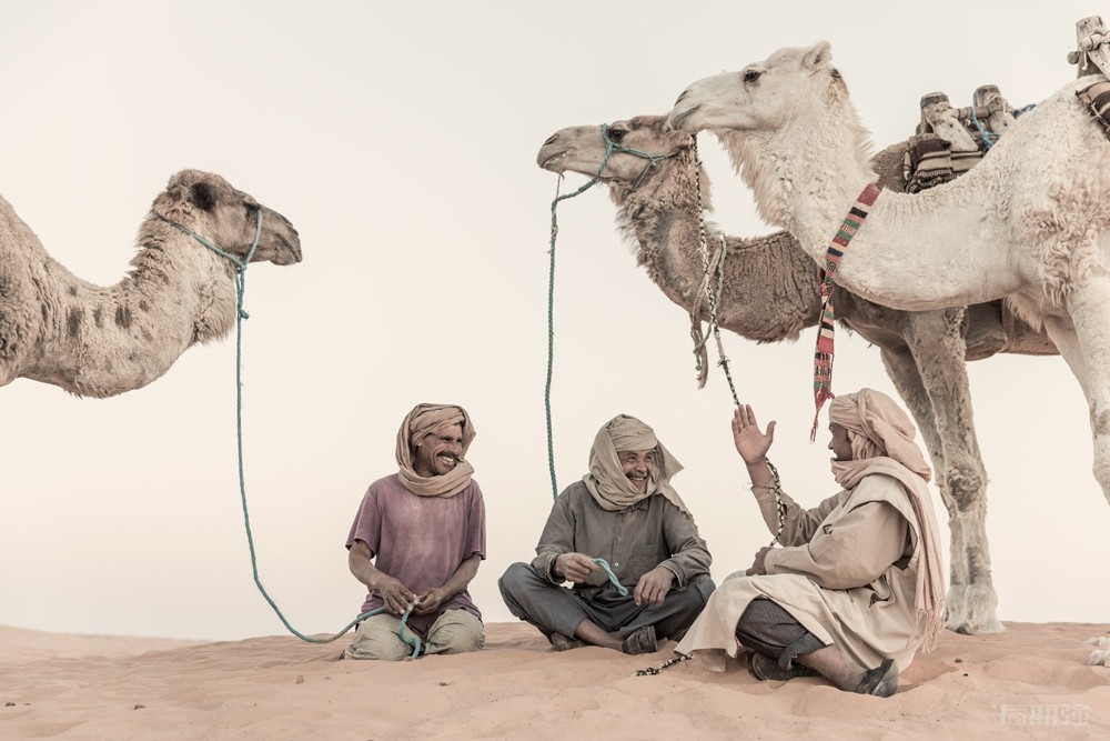 什么样的照片好？什么样的照片不好？