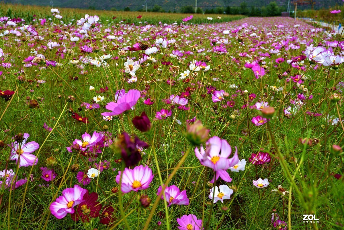 赤城的山水景色美