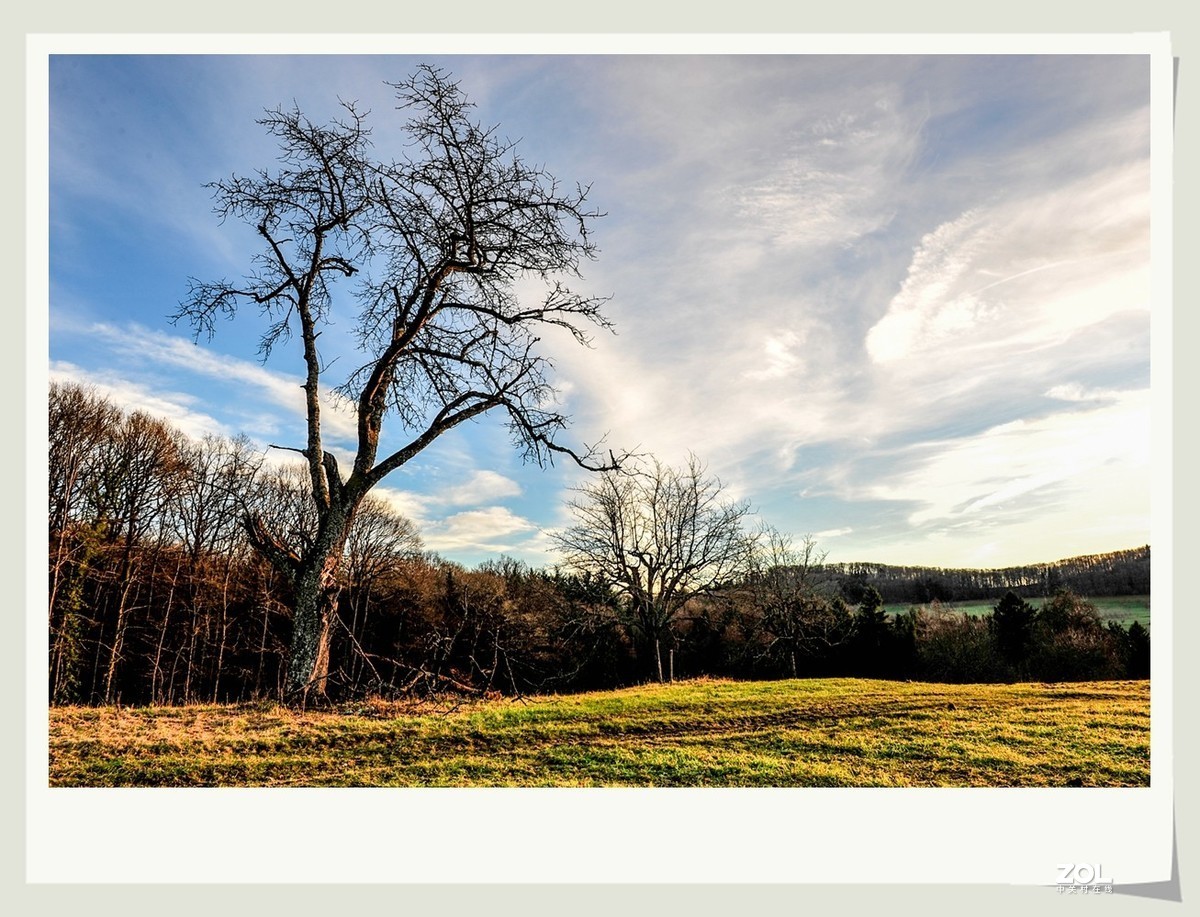冬野 (南部德国)