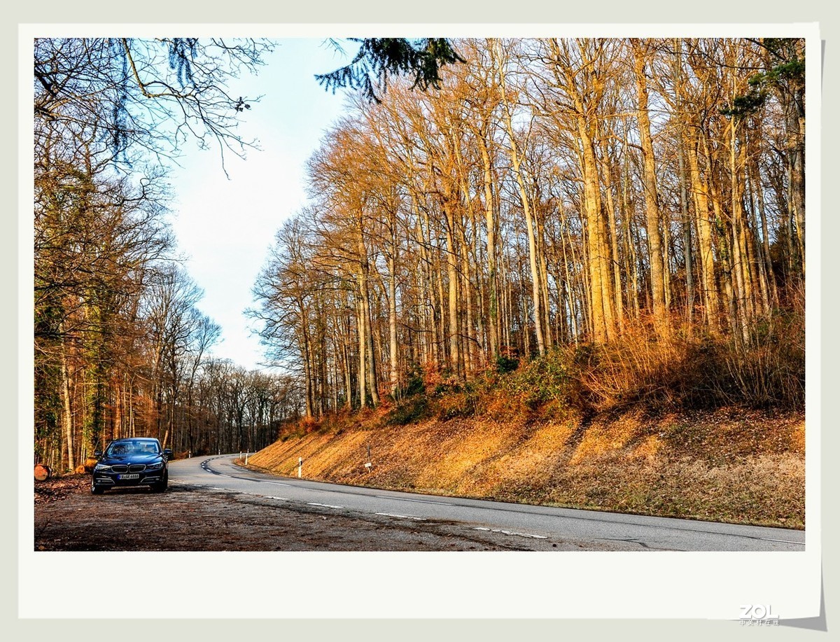 冬野 (南部德国)