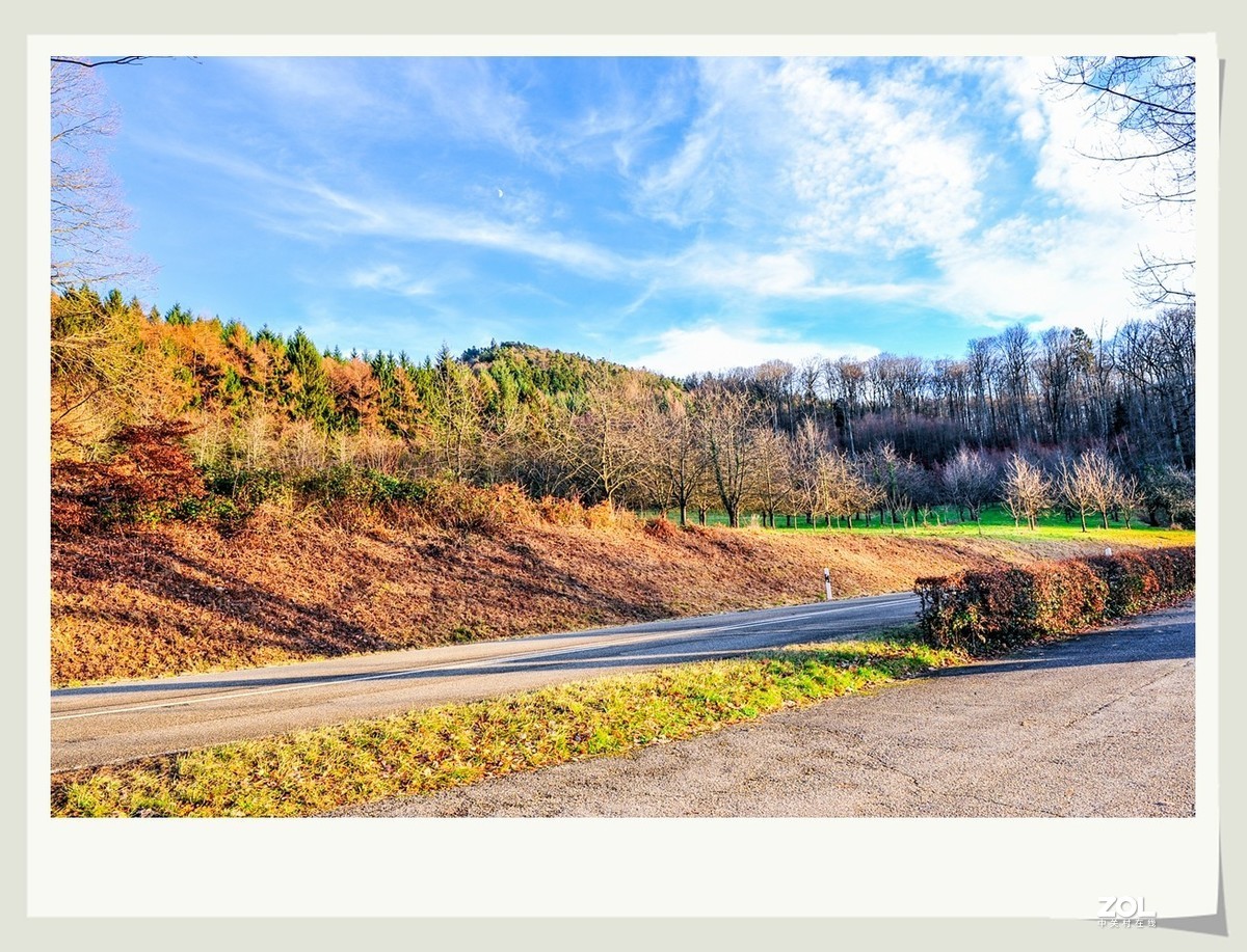 冬野 (南部德国)