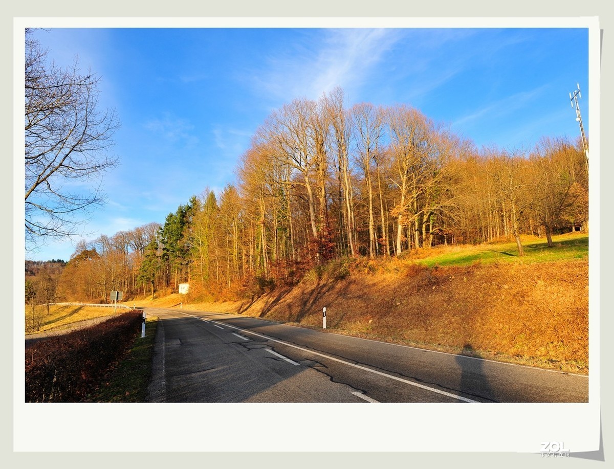 冬野 (南部德国)