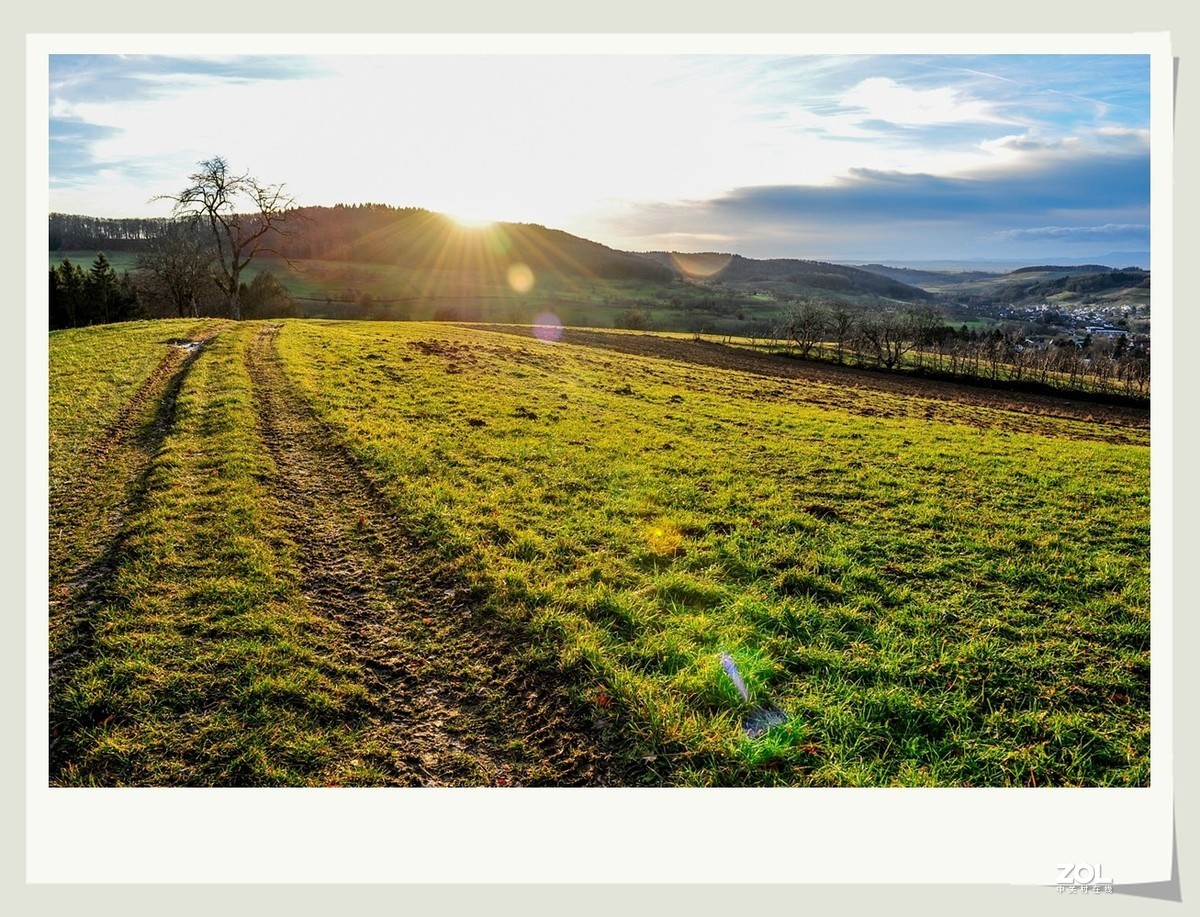 冬野 (南部德国)