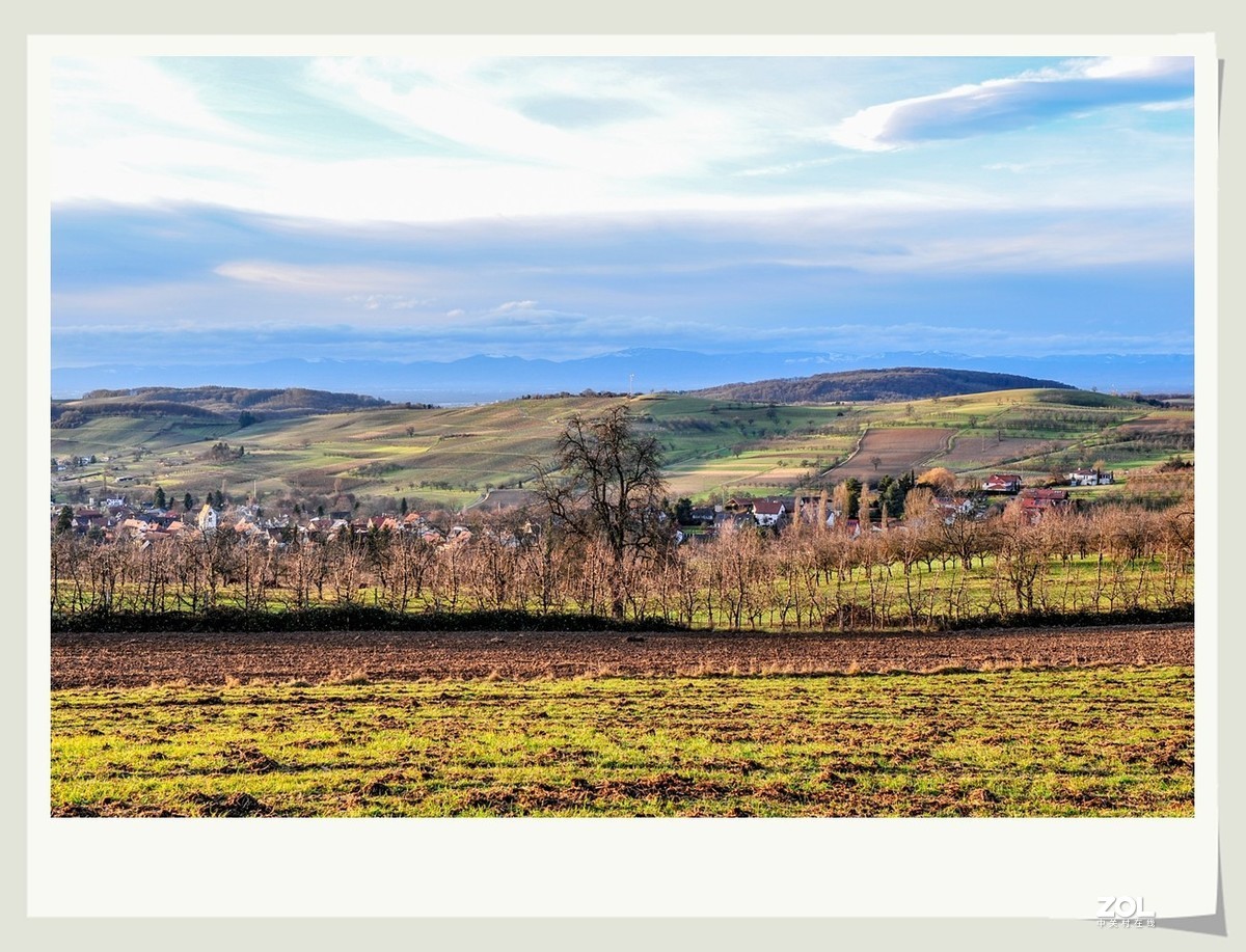冬野 (南部德国)