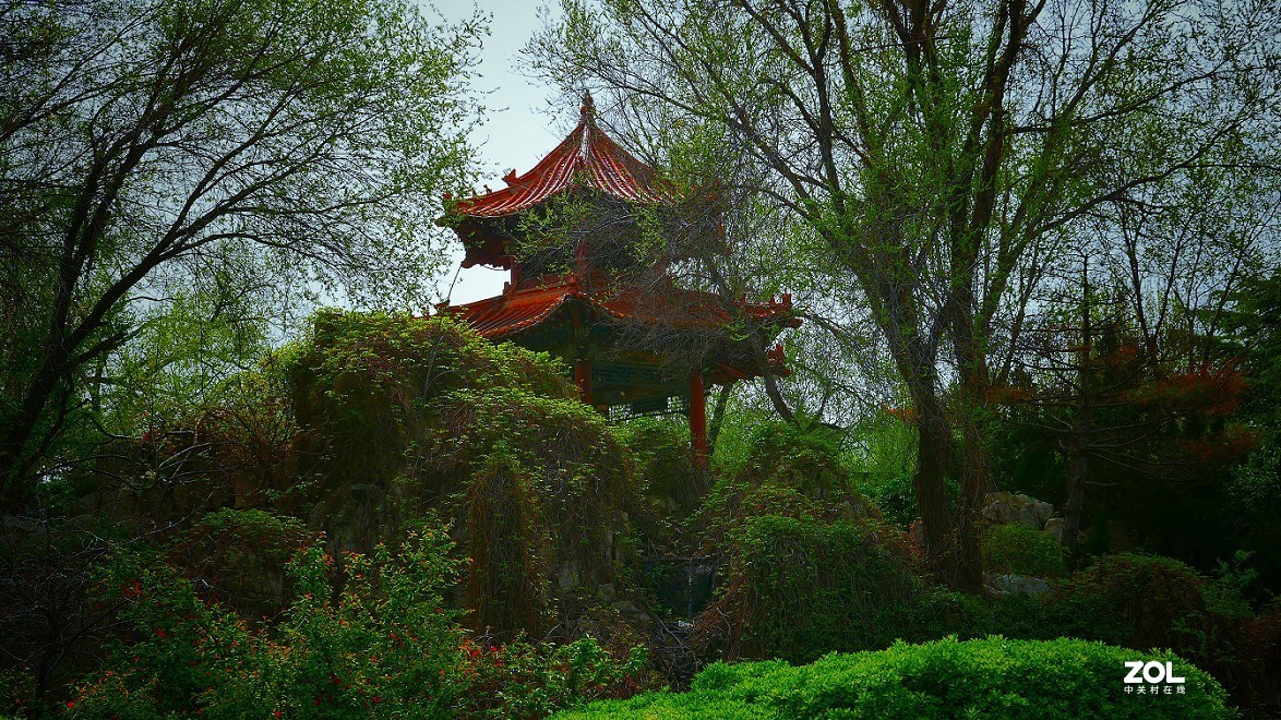 卡片机和60D的一组杂拍，这几天终于有点凉快了，再过几天就可以出去溜达扫街了！哈哈