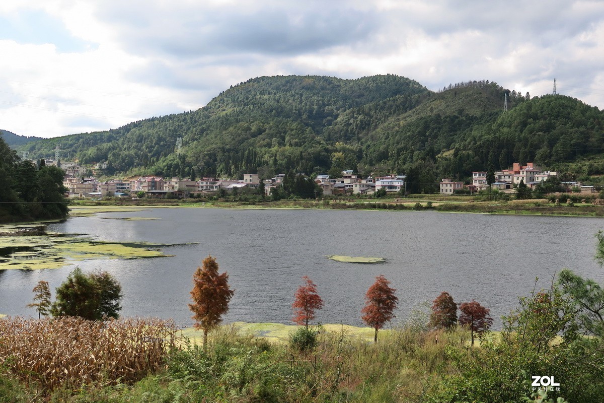 重阳郊外游随拍