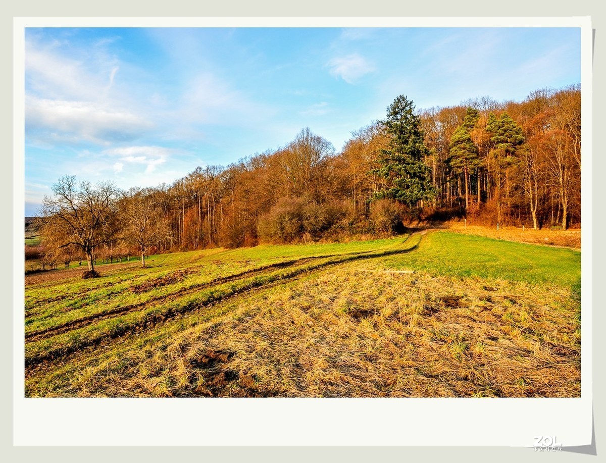 冬野 (南部德国)