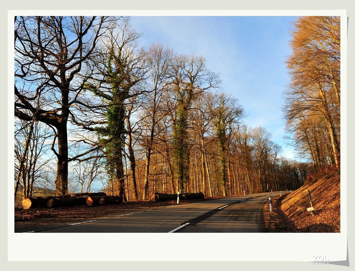 冬野 (南部德国)