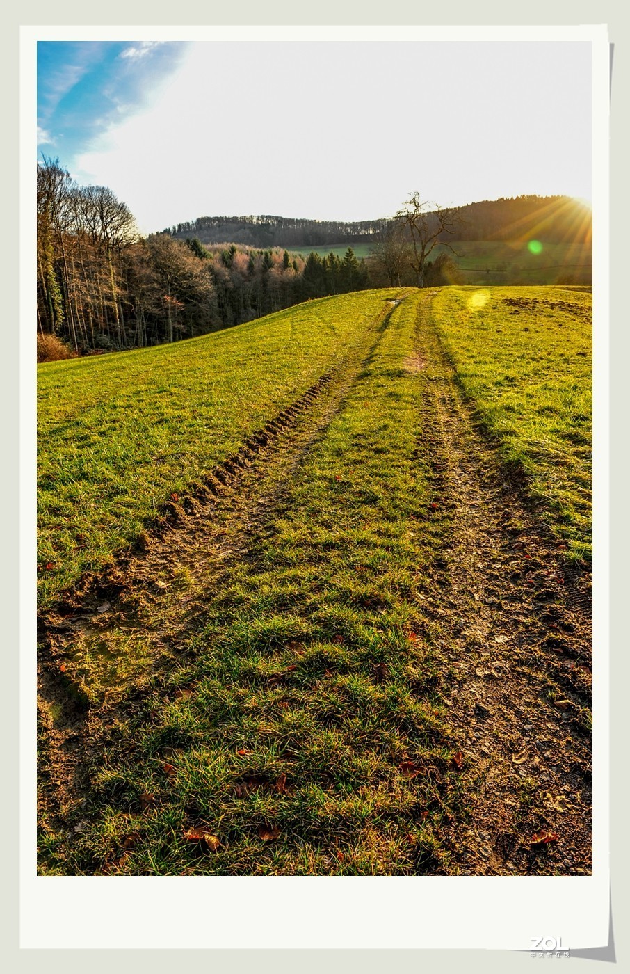 冬野 (南部德国)