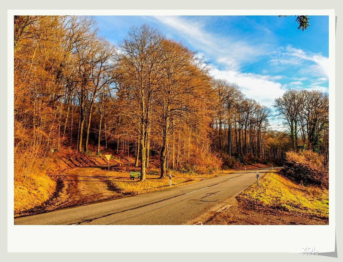 冬野 (南部德国)