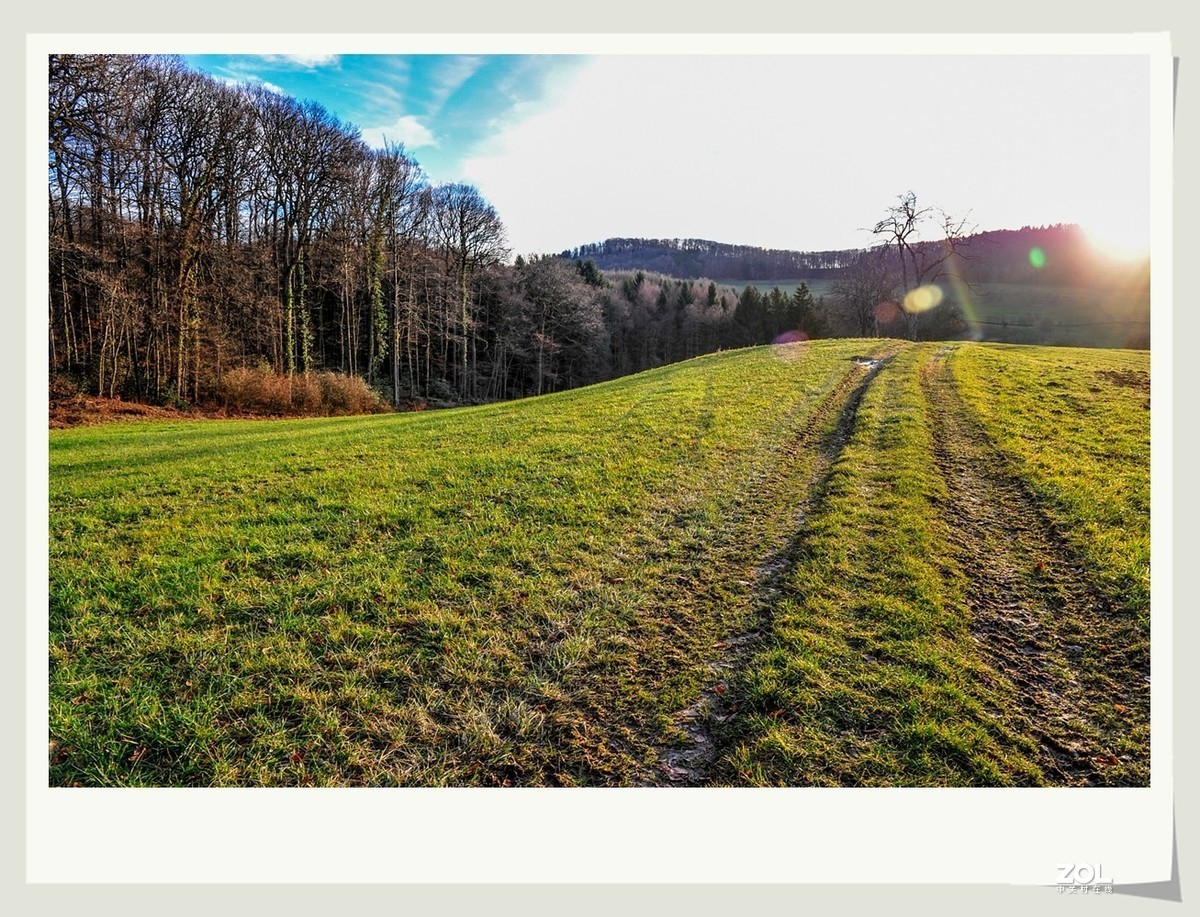 冬野 (南部德国)