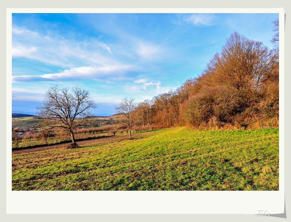 冬野 (南部德国)