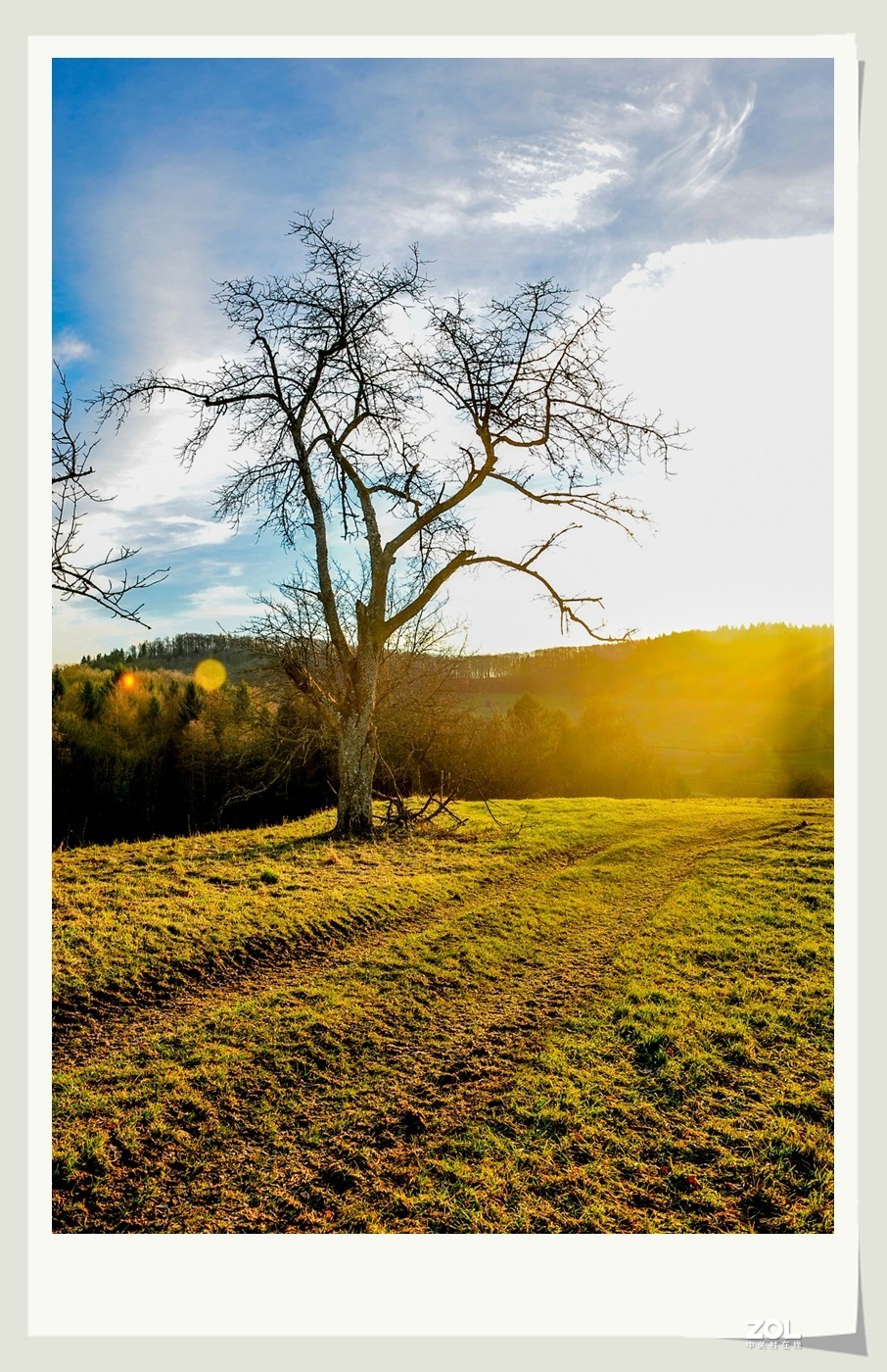 冬野 (南部德国)