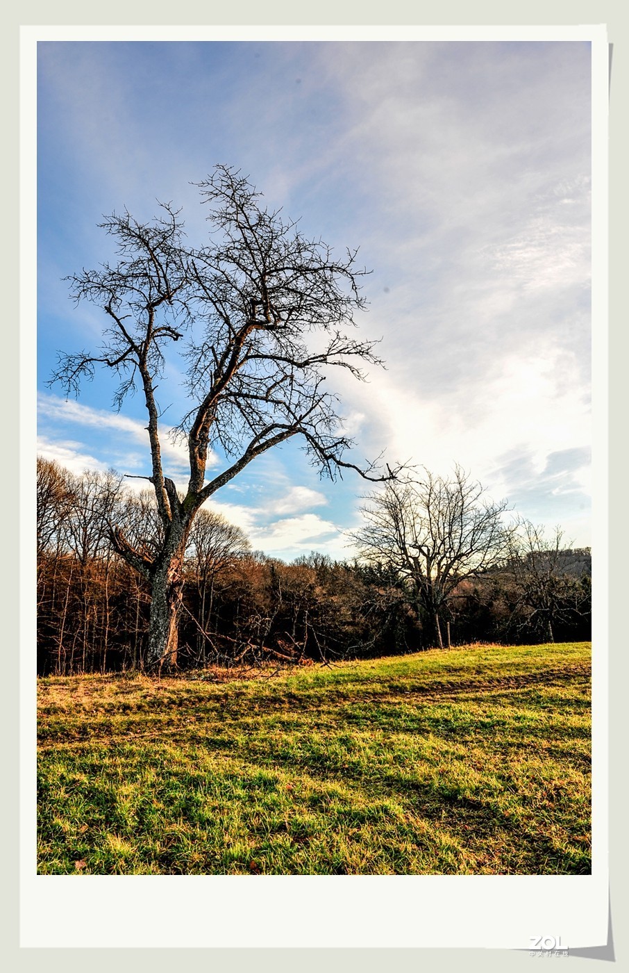 冬野 (南部德国)