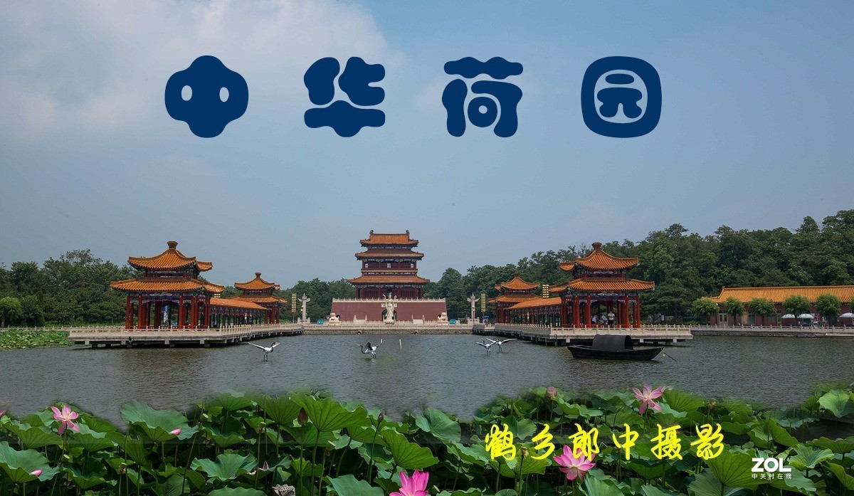 南戴河中华荷园游记