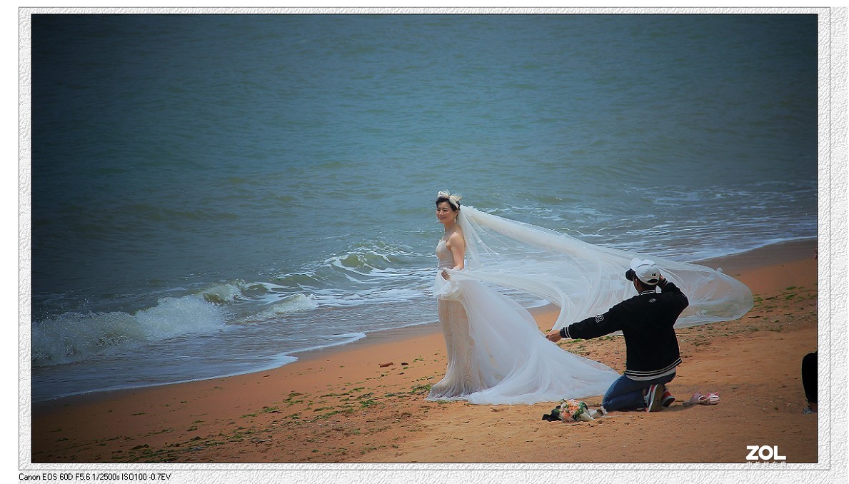 卡片机和60D的一组杂拍，这几天终于有点凉快了，再过几天就可以出去溜达扫街了！哈哈