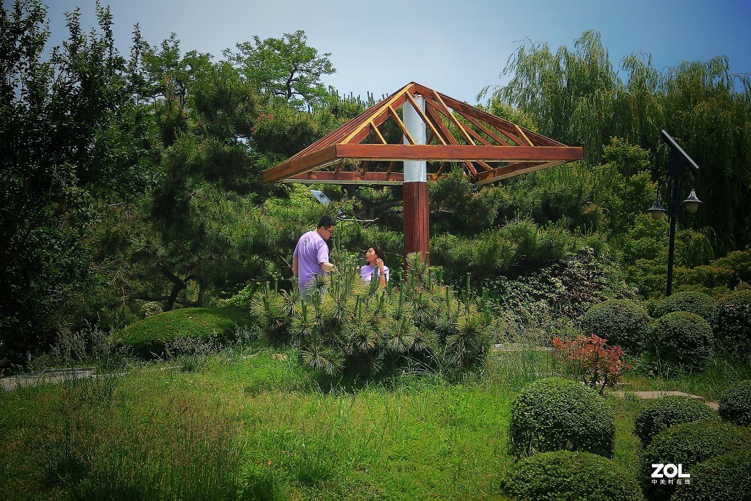 卡片机和60D的一组杂拍，这几天终于有点凉快了，再过几天就可以出去溜达扫街了！哈哈