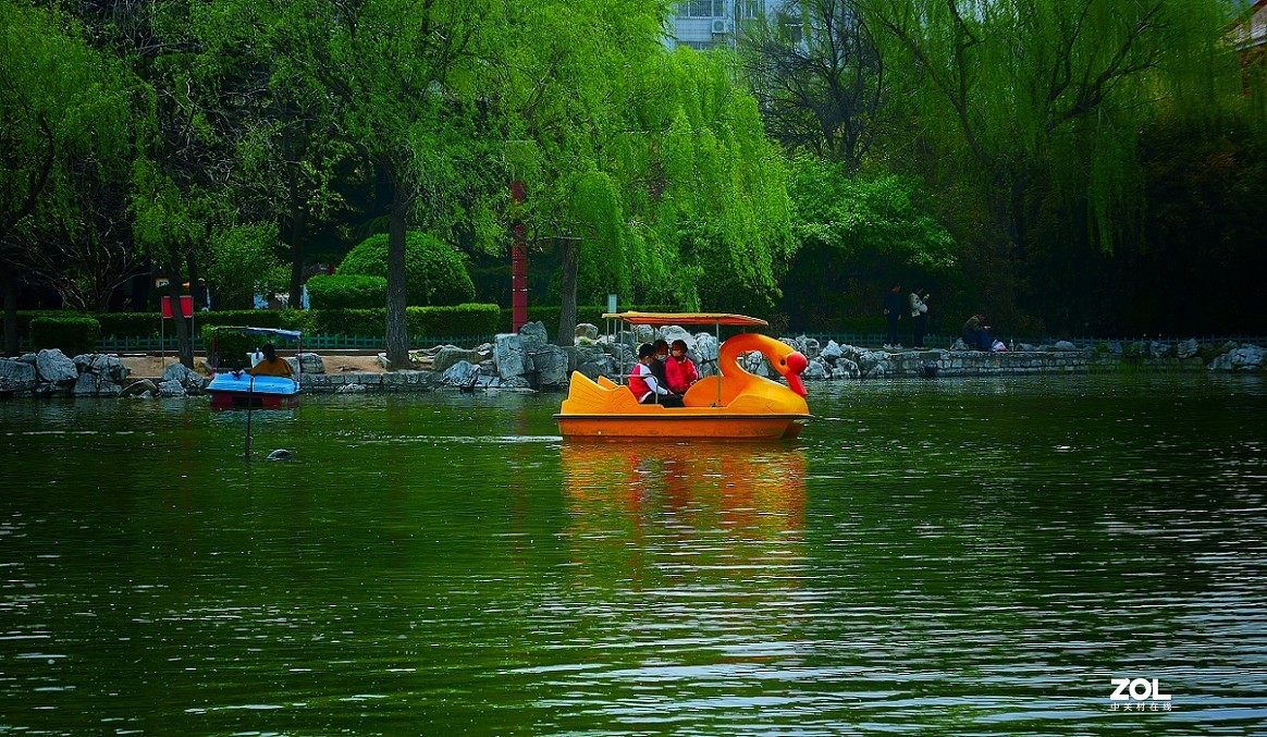 卡片机和60D的一组杂拍，这几天终于有点凉快了，再过几天就可以出去溜达扫街了！哈哈